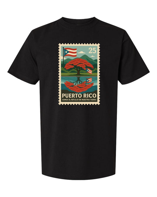 SOMOS EL REFLEJO DE NUESTRA TIERRA (Stamp) | STREET HEAVYWEIGHT T-SHIRT
