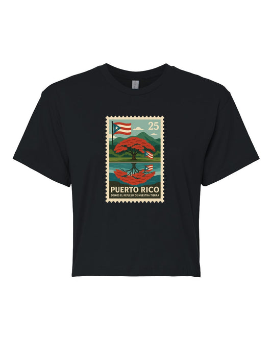 SOMOS REFLEJO DE NUESTRA TIERRA (Stamp) | CROP TOP